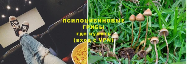 соль ск Лагань