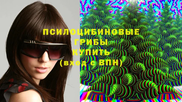 мдма Билибино