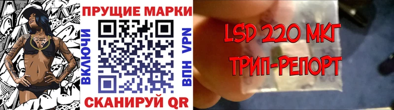 Марки NBOMe 1,8мг закладка Мураши