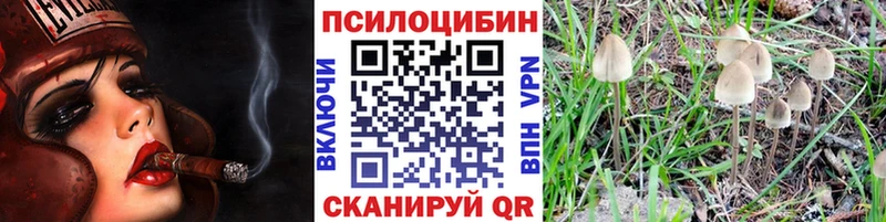 Псилоцибиновые грибы мицелий kraken ТОР сайты даркнета состав Мураши
